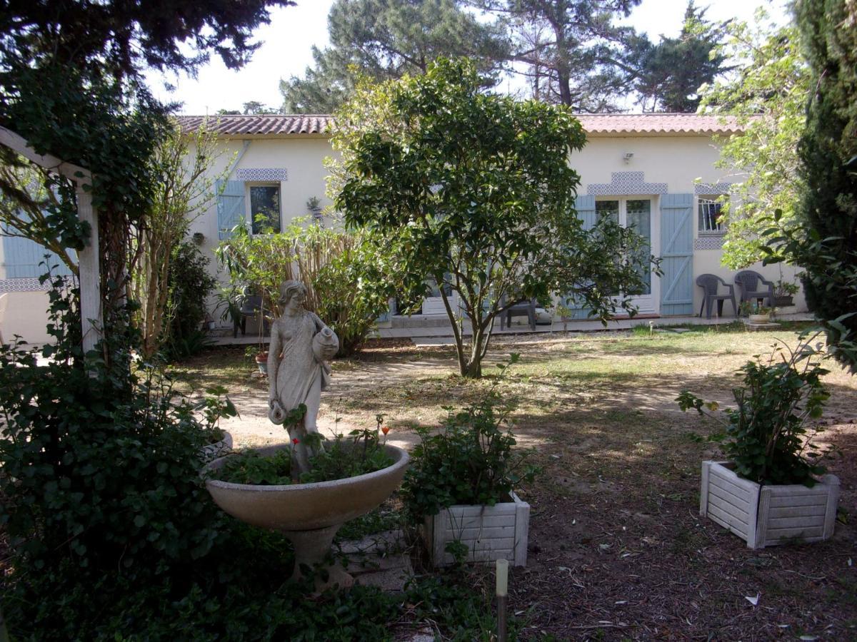 Mas Des Pins Bed and Breakfast Saint-Cyprien  Exteriör bild